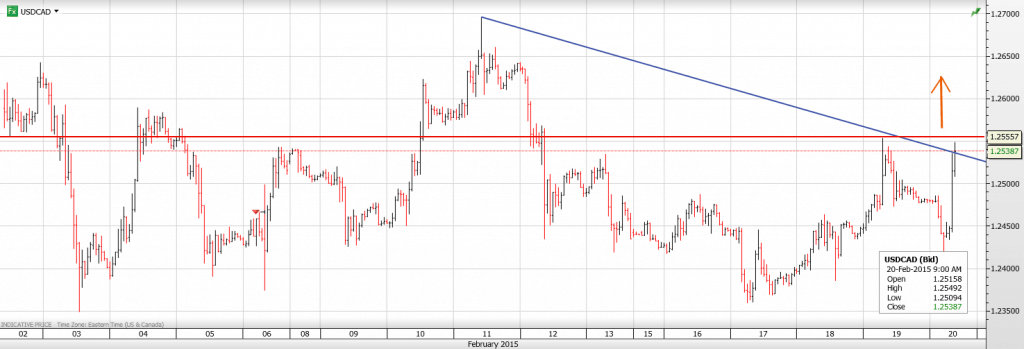 USDCAD 20TH feb