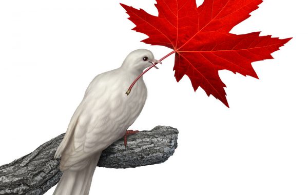 Canadian election Agility Forex