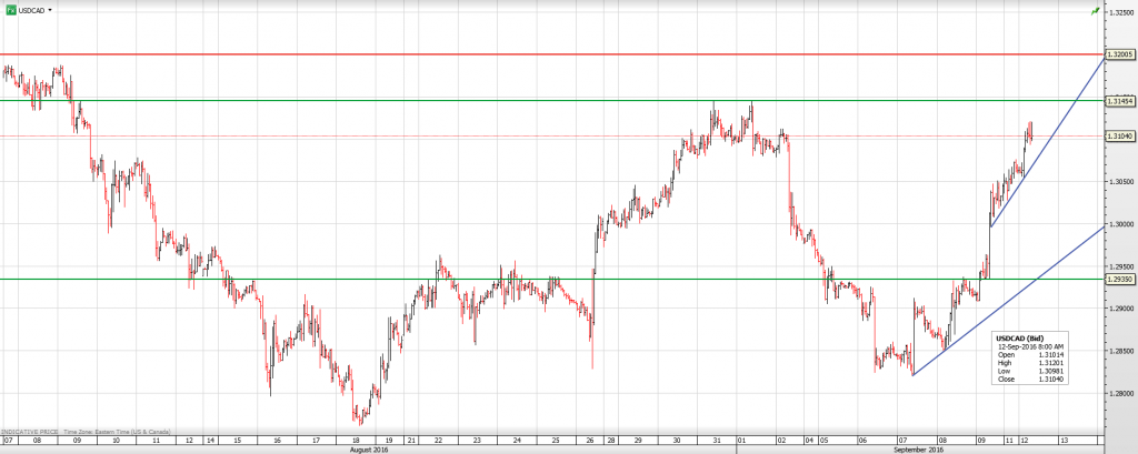 cad-12th-sept